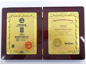 国际注册高级艺术品鉴定师-荣誉证书 - 珠海文博科检文物鉴定有限公司